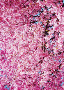 PUBLICATIONS | 蜷川実花｜Mika Ninagawa
