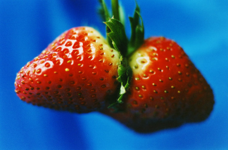 photodetail | 蜷川実花｜Mika Ninagawa