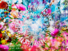 PUBLIC INSTALLATIONS | 蜷川実花｜Mika Ninagawa