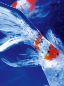 PUBLICATIONS | 蜷川実花｜Mika Ninagawa