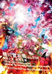 GALLERIES | 蜷川実花｜Mika Ninagawa